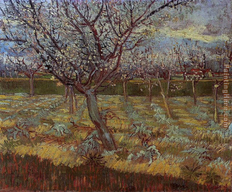 Vincent van Gogh Apricot Trees in Bloom
